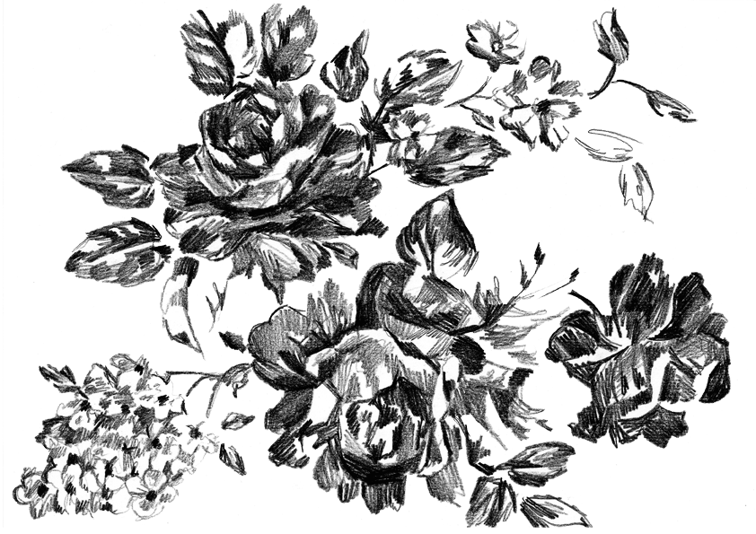jeanne-louise-dessins-bouquet
