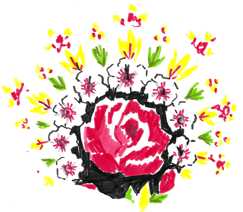 jeanne-louise-dessins-flowers
